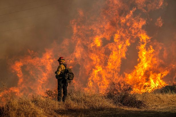 LA police arrest brazen burglar dressed up as firefighter looting home hit by wildfire horror