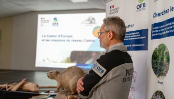 « L’Office français de la biodiversité, l’un des principaux remparts contre l’effondrement du vivant, est victime d’attaques intolérables »