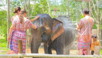 La Policía tailandesa investiga la muerte de la turista española atacada por el elefante al que bañaba