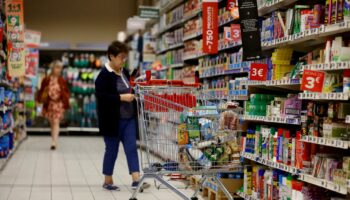 La consommation n’a pas redémarré dans les supermarchés : « En 2024, tous les moteurs sont cassés »