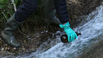 « La contamination du monde par les PFAS forme une catastrophe parfaite, dystopique dans toutes ses dimensions »