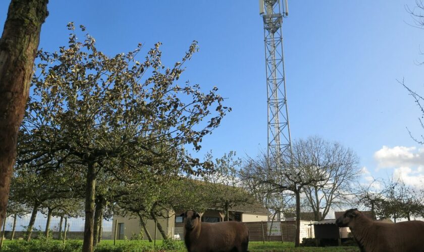 La justice impose à un village de l’Ariège une nouvelle antenne-relais