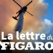 La lettre du Figaro du 13 janvier 2025