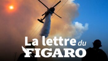 La lettre du Figaro du 13 janvier 2025