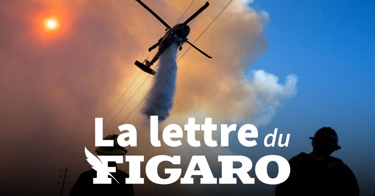 La lettre du Figaro du 13 janvier 2025