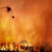 La superficie détruite par des incendies au Brésil a augmenté de 79% en 2024