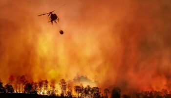 La superficie détruite par des incendies au Brésil a augmenté de 79% en 2024