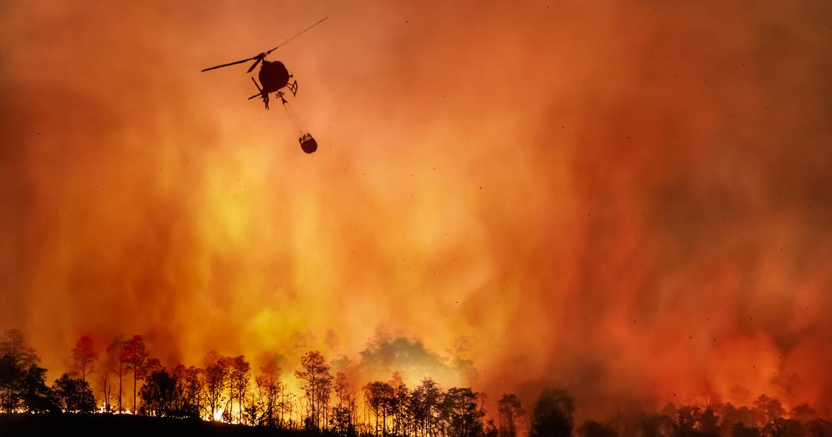 La superficie détruite par des incendies au Brésil a augmenté de 79% en 2024