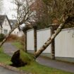 La tempête Eowyn a balayé l’Irlande avec des vents à plus de 135 km/h, la vigilance rouge levée