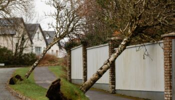 La tempête Eowyn a balayé l’Irlande avec des vents à plus de 135 km/h, la vigilance rouge levée