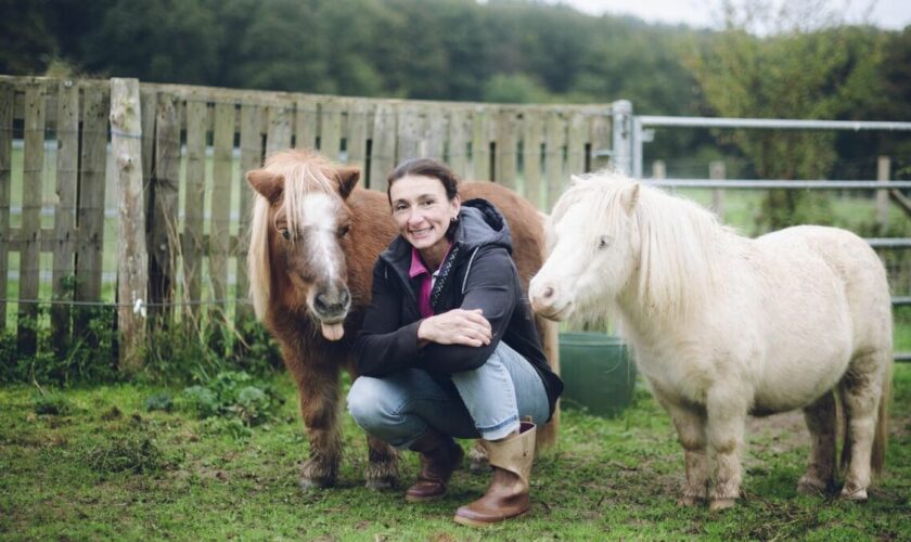 « L’amour est dans le pré » : découvrez les nouveaux portraits des agriculteurs de la saison 20