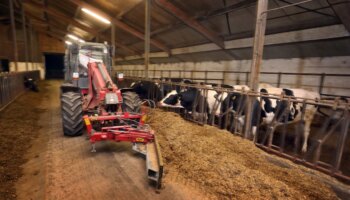 Landwirtschaft: Bayern bereitet sich auf die Maul- und Klauenseuche vor