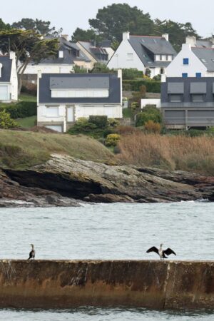 L’artificialisation du littoral breton se poursuit, un « gâchis » dénoncé par une enquête