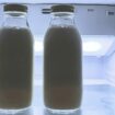 Le lait n'a rien à faire dans la porte du frigo, c'est même le pire endroit où le ranger