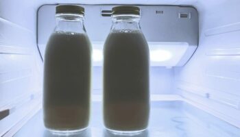 Le lait n'a rien à faire dans la porte du frigo, c'est même le pire endroit où le ranger