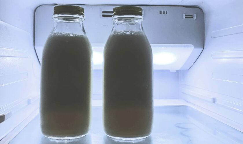 Le lait n'a rien à faire dans la porte du frigo, c'est même le pire endroit où le ranger