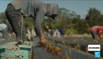 Le retour de "America first" : énergie, tarifs douaniers, expulsion de migrants