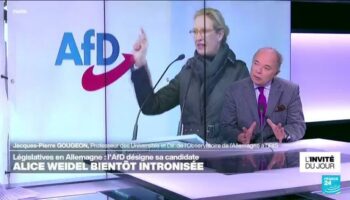 Législatives en Allemagne : Alice Weidel bientôt intrônisée comme candidate de l'AfD