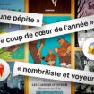 Les 20 bandes dessinées de 2024 plébiscitées par les lecteurs du « Monde »