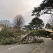 Les deux Irlandes balayées par la puissante tempête Eowyn, le nord-ouest de la France en vigilance