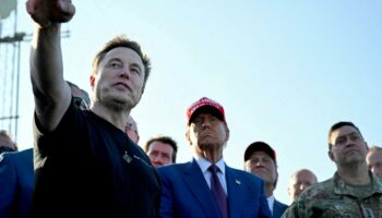 «Les gens doivent réellement se ranger derrière l’AfD» : Elon Musk réitère son soutien au parti allemand d'extrême droite