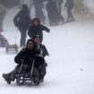 Les luges sont de sortie: Fortes chutes de neige en Algérie