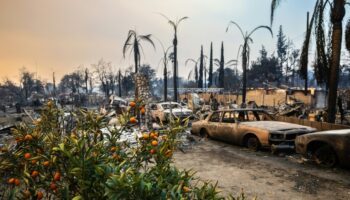 Les rescapés des incendies sont confrontés aux pillages: "Je n'ai pas sauvé cette foutue maison pour qu'un idiot vienne me voler"