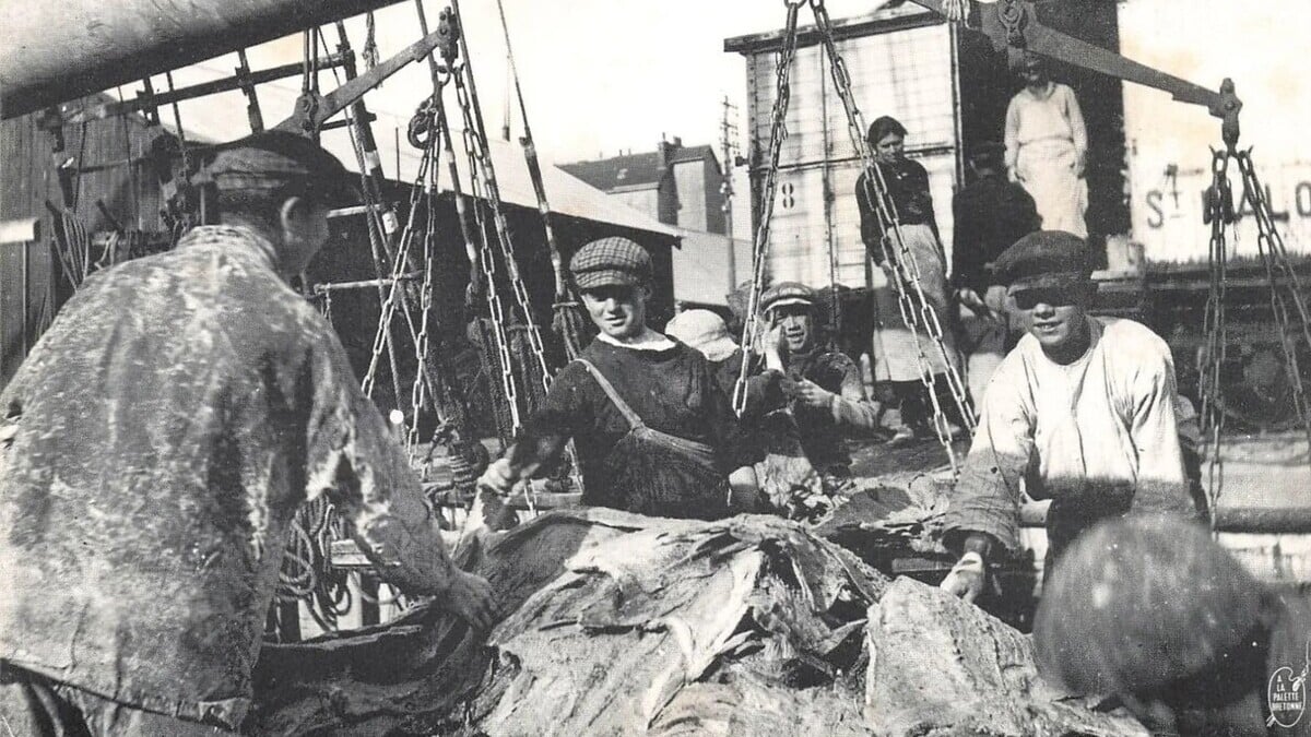 L'histoire oubliée des «p'tits graviers», ces enfants exploités par la pêche à la morue à Saint-Pierre-et-Miquelon