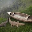 L’île mystérieuse du photographe Henry Roy