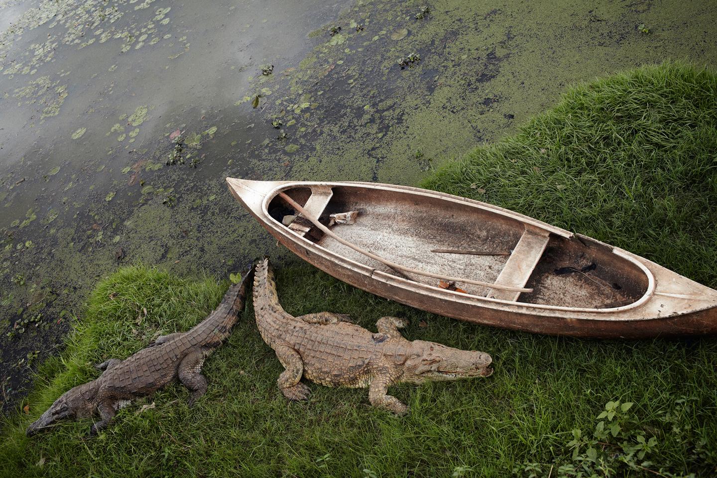 L’île mystérieuse du photographe Henry Roy