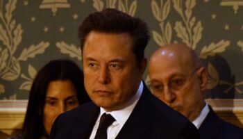 L’offensive opportuniste et brouillonne d’Elon Musk en Allemagne