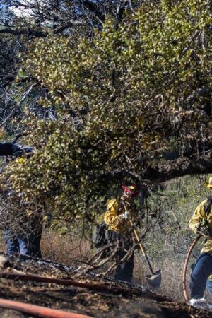 Los Angeles : 28 morts dans les incendies qui ravagent la Californie, de la pluie attendue ce week-end