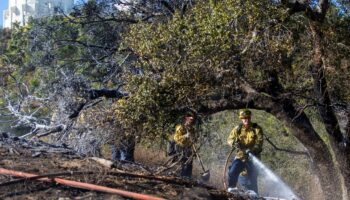 Los Angeles : 28 morts dans les incendies qui ravagent la Californie, de la pluie attendue ce week-end