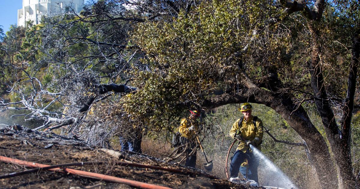 Los Angeles : 28 morts dans les incendies qui ravagent la Californie, de la pluie attendue ce week-end