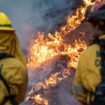 Los Angeles : de nouveaux incendies attendus cette semaine alors que les pompiers font des progrès significatifs