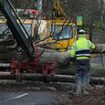 Man is killed by falling tree in Ireland after Storm Eowyn pummels the UK with savage 100mph winds