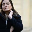 «Marine Tondelier, Jeanne d’Arc écologiste... le courage en moins, le ridicule en plus»