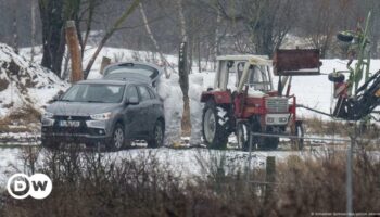 Maul- und Klauenseuche in Deutschland ausgebrochen