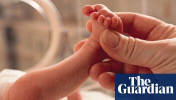 Microplastics in placentas linked to premature births, study suggests