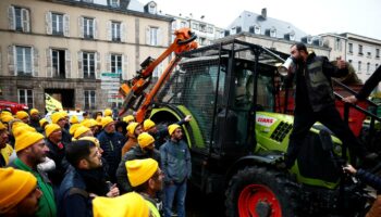 Mobilisation des agriculteurs : la Coordination rurale appelle à manifester et à « monter sur Paris » à partir de dimanche