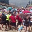 Moment 20-strong group brawl breaks out on Chile beach with one man stabbed and 4 arrested