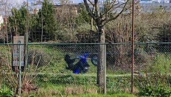 Motos, quads… Dix interpellations lors d’un rodéo géant en forêt entre l’Essonne et le Val-de-Marne