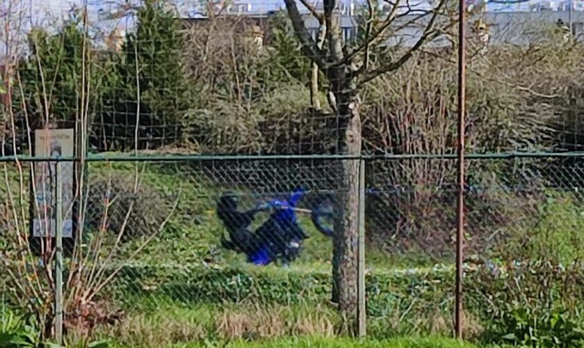 Motos, quads… Dix interpellations lors d’un rodéo géant en forêt entre l’Essonne et le Val-de-Marne