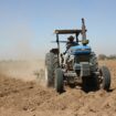 Muere un hombre al volcar el tractor que conducía en una huerta de Alcalá de Guadaíra