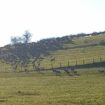 "On en a compté plus de 300" : une incroyable harde de biches et de cerfs filmée dans le Jura