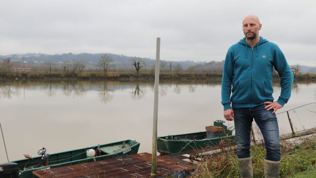 « On est au pied du mur » : coup d’arrêt pour la filière de la pêche au saumon en Nouvelle-Aquitaine