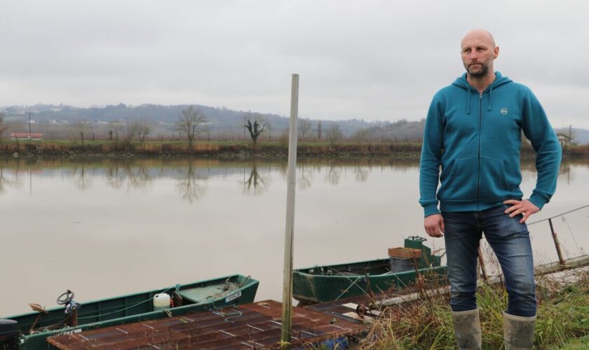 « On est au pied du mur » : coup d’arrêt pour la filière de la pêche au saumon en Nouvelle-Aquitaine