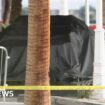 One killed as cybertruck explodes at Trump Las Vegas hotel