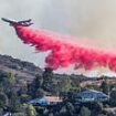 Painting LA pink! Fire retardant stains houses that still stand and everything around them in an attempt to slow the blazes that have killed at least 16 people