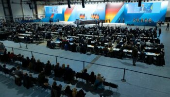 Stundenlang wird auf dem AfD-Parteitag über das Programm zur Bundestagswahl debattiert. Foto: Sebastian Kahnert/dpa